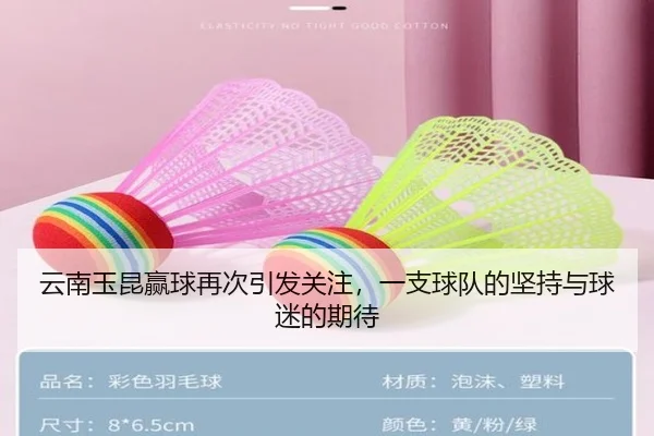 云南玉昆赢球再次引发关注，一支球队的坚持与球迷的期待